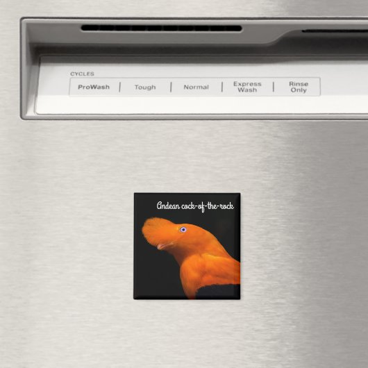 アンデスの岩 マグネット (インサイチュ (食洗機))