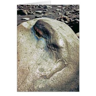 アンデス山脈の女性または折るカードへの尊敬