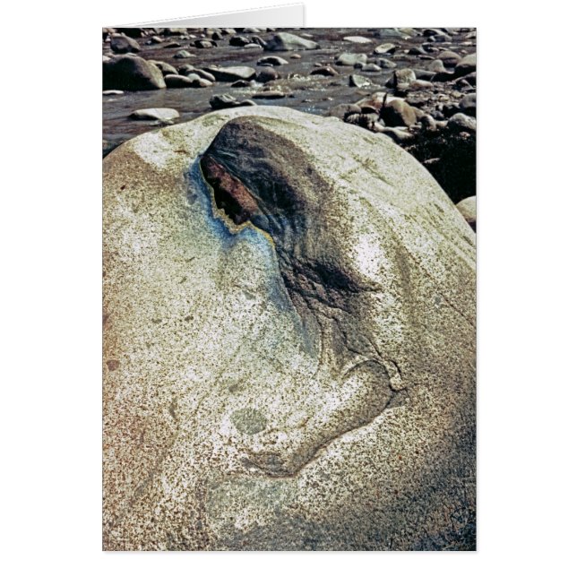 アンデス山脈の女性または折るカードへの尊敬 (正面)