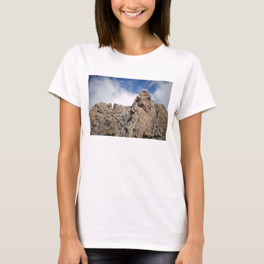 アンデス山脈山 Tシャツ (正面)