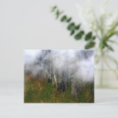 アンデス系：はがき ポストカード (スタンド正面)