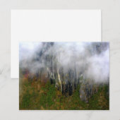 アンデス系：はがき ポストカード (正面/裏面)