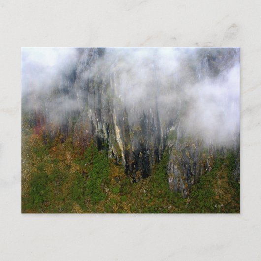 アンデス系：はがき ポストカード (正面)