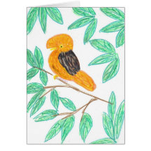 アンデス·コック·オブ·ザ·ロック（ペルービアヌス·ルピコラ）