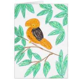 アンデス·コック·オブ·ザ·ロック（ペルービアヌス·ルピコラ）