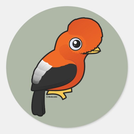 アンデス・コック・オブ・ザ・ロック ラウンドシール (正面)