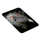 アンデス・コンドル男性 マグネット (右側)