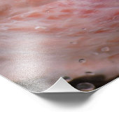 アンデス・フラミンゴの捕虜となった写真 フォトプリント (角)