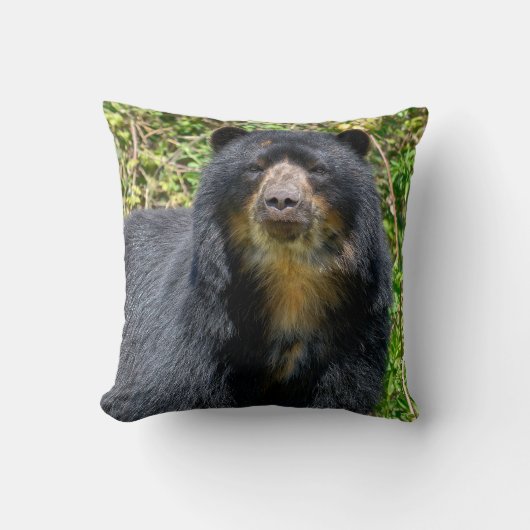 アンデス・ベアを閉じる クッション (正面)