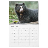 アンデス・ベア財団カレンダー2013 カレンダー (3月 2026)