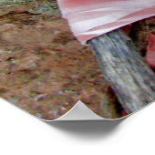 アンデス・マン/ポスター ポスター (角)