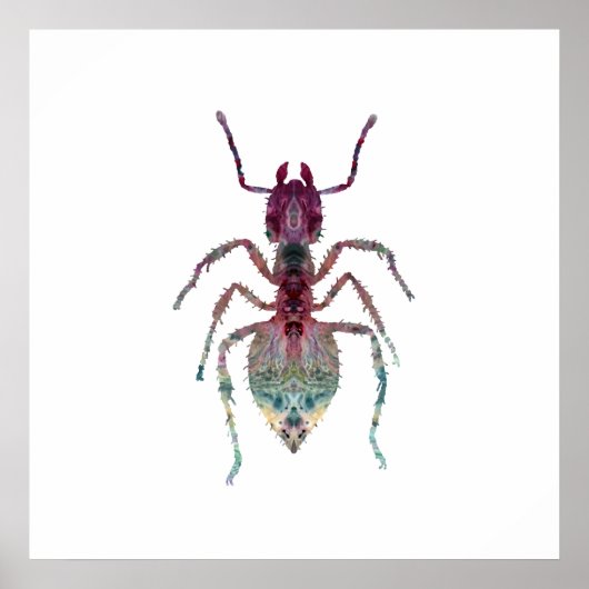 アントアート ポスター (正面)