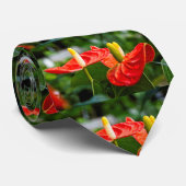 アントゥリ数々のウム ネクタイ (ロール)