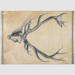 アントラーデコページ紙 薄葉紙