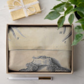 アントラーデコページ紙 薄葉紙 (ギフト)