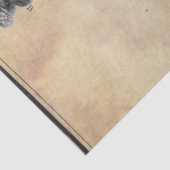 アントラーデコページ紙 薄葉紙 (詳細)