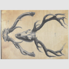 アントラーデコページ紙 薄葉紙