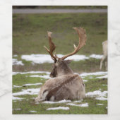 アントラー ワインラベル (シングルラベル)