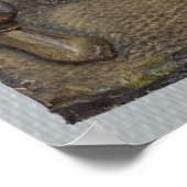 アントワープのユダキス ポスター (角)