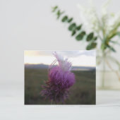 『アント・ザ・グレイン』 ポストカード (スタンド正面)