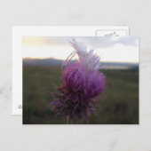 『アント・ザ・グレイン』 ポストカード (正面/裏面)