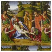 アンドリアSolario著哀悼 ファブリック (クローズアップ)