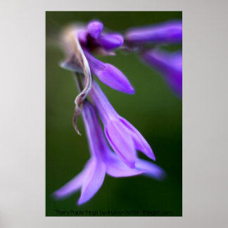 アンドリューかわいらし・ゲットラーによる「紫のモノ」 ポスター