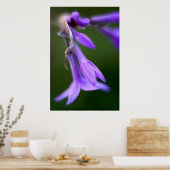 アンドリューかわいらし・ゲットラーによる「紫のモノ」 ポスター (キッチン)