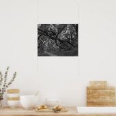 アンドリュー・モレラ州のオークの木立を通る道 ポスター (キッチン)