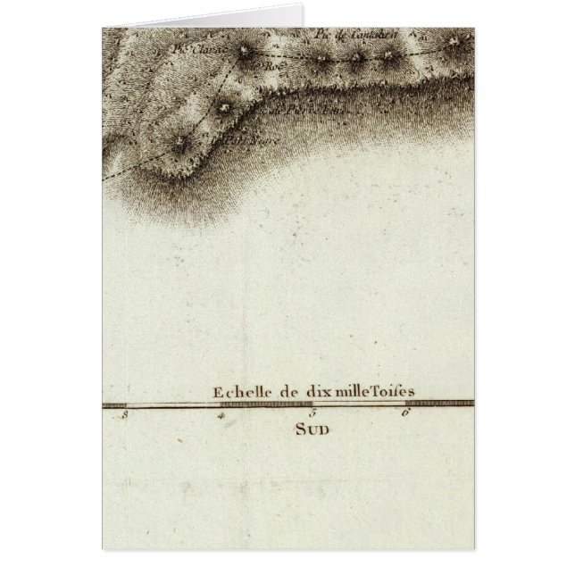 アンドレ (正面)