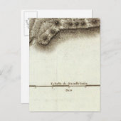 アンドレ ポストカード (正面/裏面)