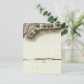 アンドレ ポストカード (スタンド正面)