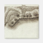 アンドレ マグネット (正面)