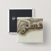 アンドレ 缶バッジ (正面&裏面)