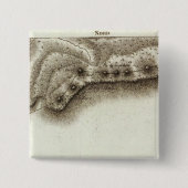 アンドレ 缶バッジ (正面)