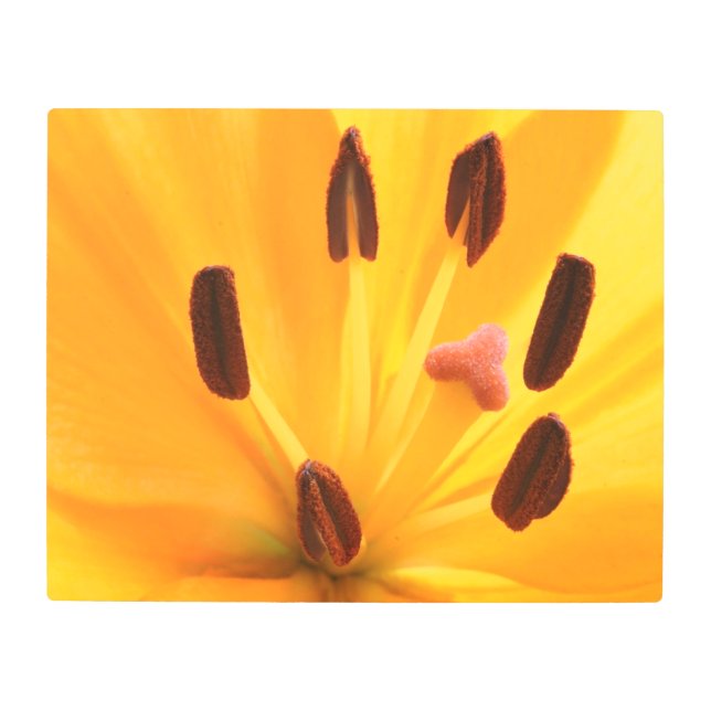 アンドロセシウム金属ウォールアート メタルプリント (正面)