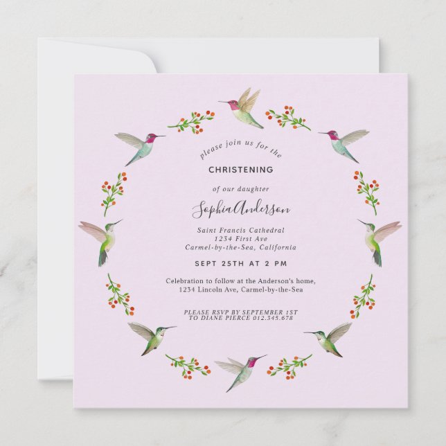 アンナのハチドリの洗礼 (正面)