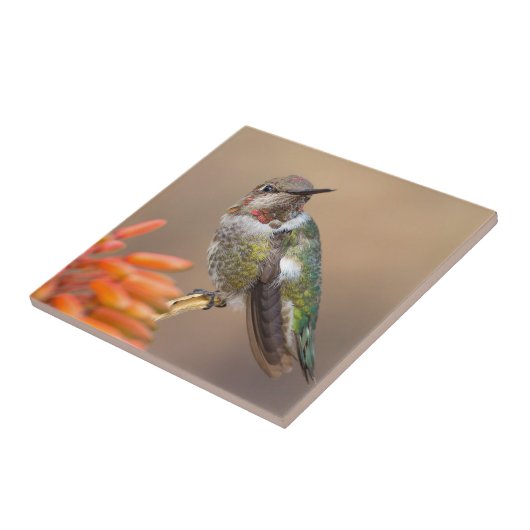 アンナのハチドリオンオレンジアロエブロッサム タイル (側面)