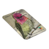 アンナのハミングバード磁石 マグネット (右側)