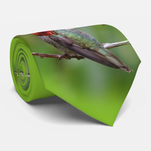 アンナのハミングバード:この王はピンクの王冠を被る ネクタイ (ロール)