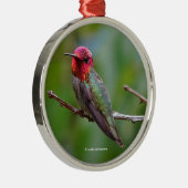 アンナのハミングバード：この王はピンクの王冠を被る メタルオーナメント (右)