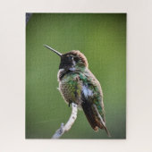 アンナのハミングバード ジグソーパズル (縦)