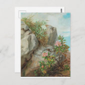 アンナステイナーニットヴィンテージアルパインバラ ポストカード (正面/裏面)