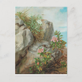 アンナステイナーニットヴィンテージアルパインバラ ポストカード