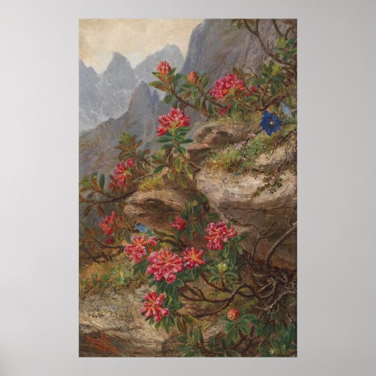 アンナステインアニットテルアルパインフラワーズ ポスター (正面)