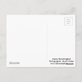 アンナズハミングバードと暗い赤紫色 ポストカード (裏面)