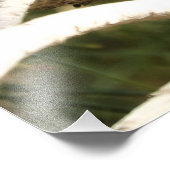 アンナズハミングバードオンネスト フォトプリント            (角)