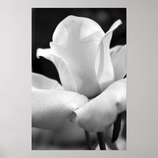 アンナバラ ポスター (正面)