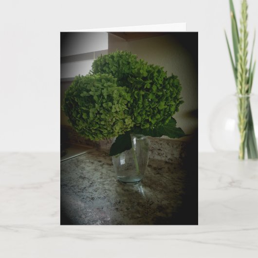 「アンナベル ハイドランジア」誕生日カード カード (正面)