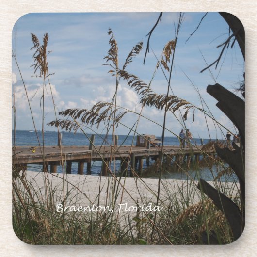 アンナマリアアイランドブラデントンフロリダ コースター (正面)